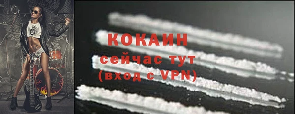 твердый Вяземский