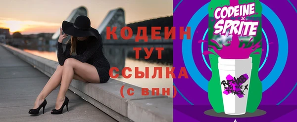 прущие грибы Медвежьегорск