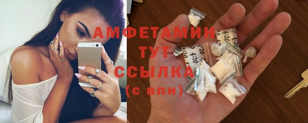 прущие грибы Медвежьегорск