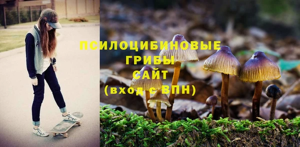 соль ск Вязники