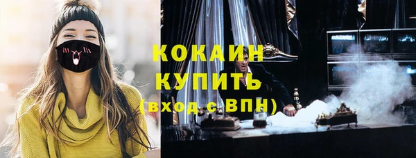 твердый Вяземский
