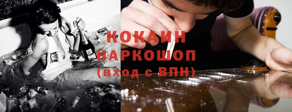 прущие грибы Медвежьегорск